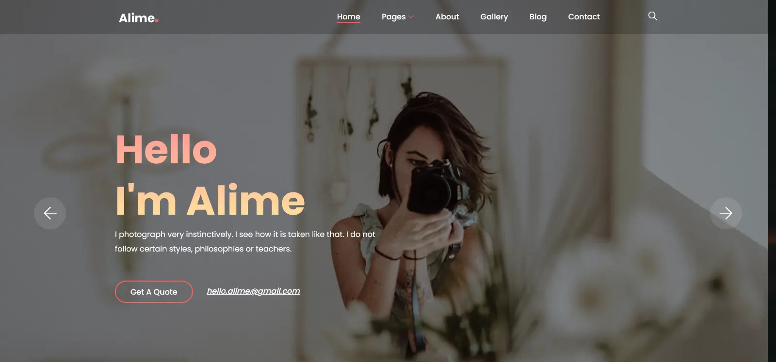 Alime замечательный шаблон сайта для портфолио фотографий